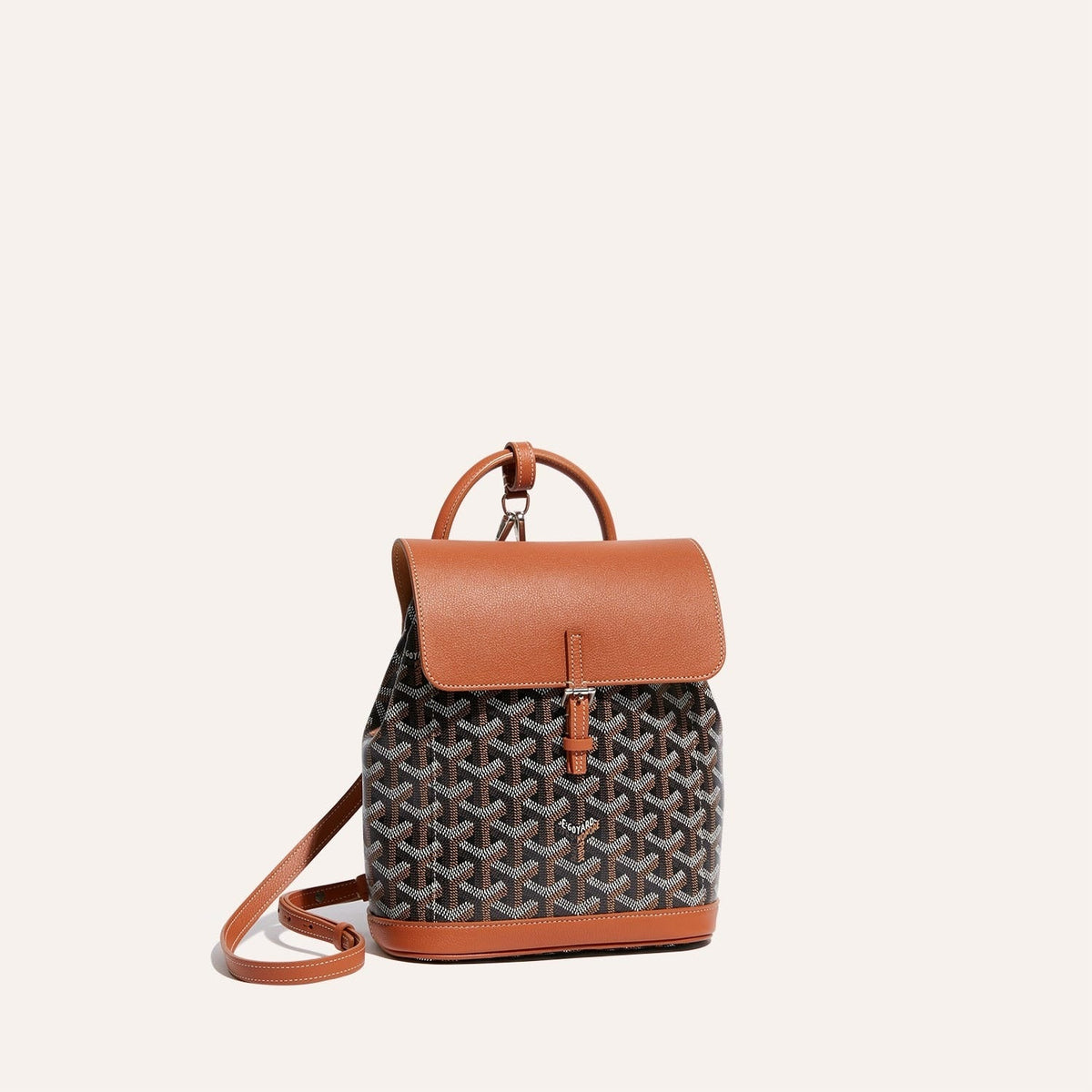 Goyard Alpin Mini Backpack