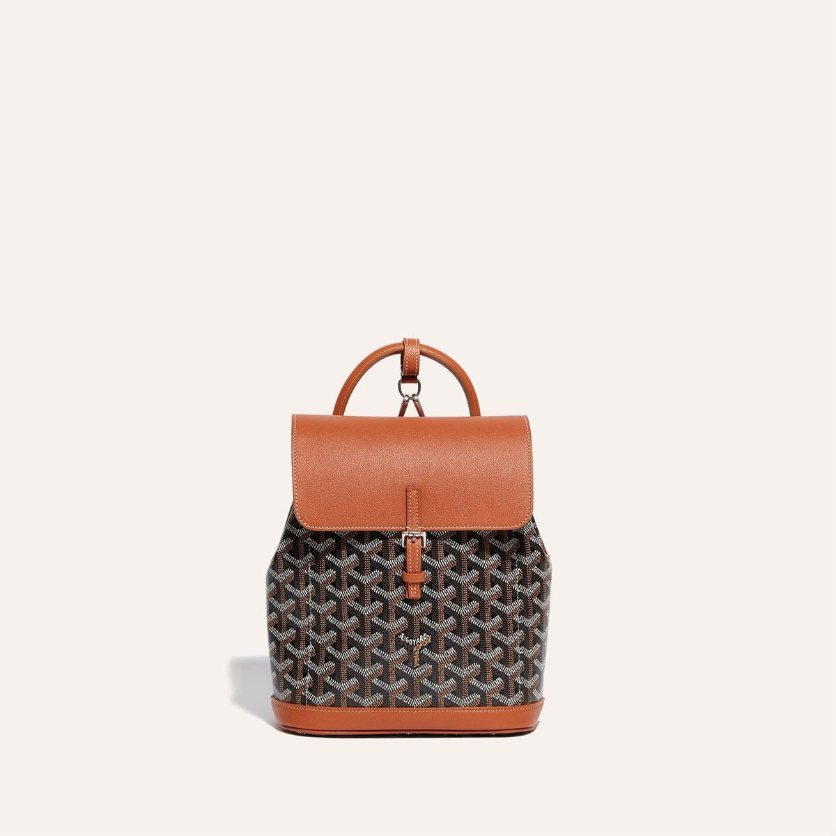 Goyard Alpin Mini Backpack