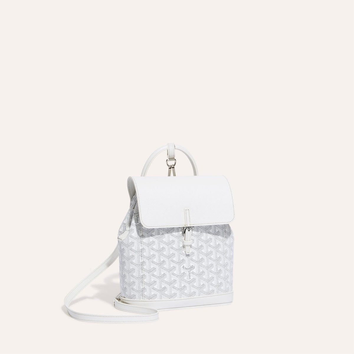 Goyard Alpin Mini Backpack