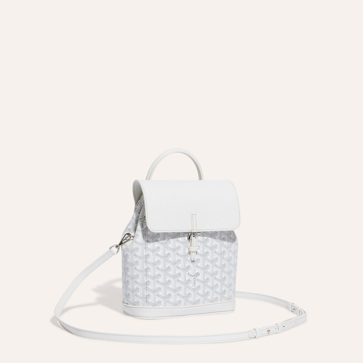 Goyard Alpin Mini Backpack