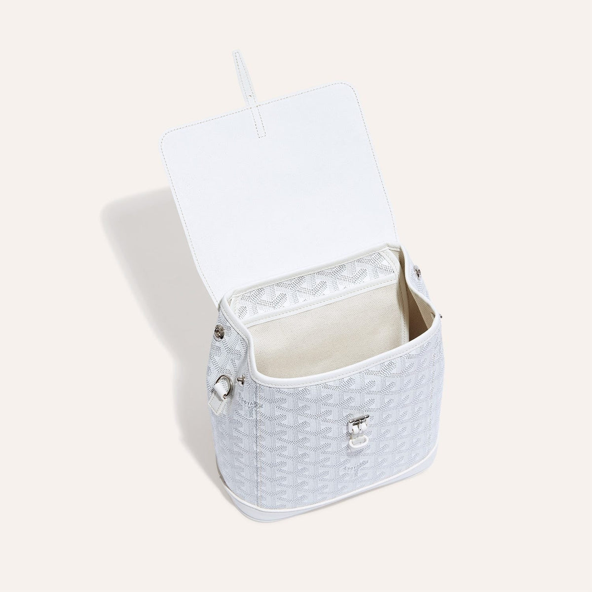 Goyard Alpin Mini Backpack