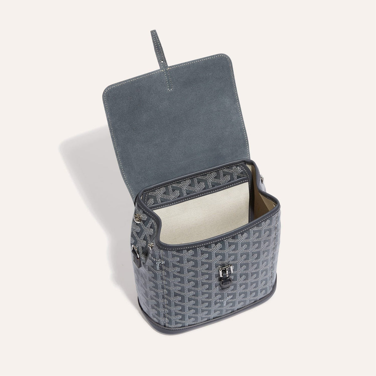 Goyard Alpin Mini Backpack
