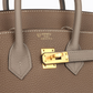 Hermès Special Order (HSS) Birkin 25 Etoupe and Etain Togo Brushed Gold Hardware