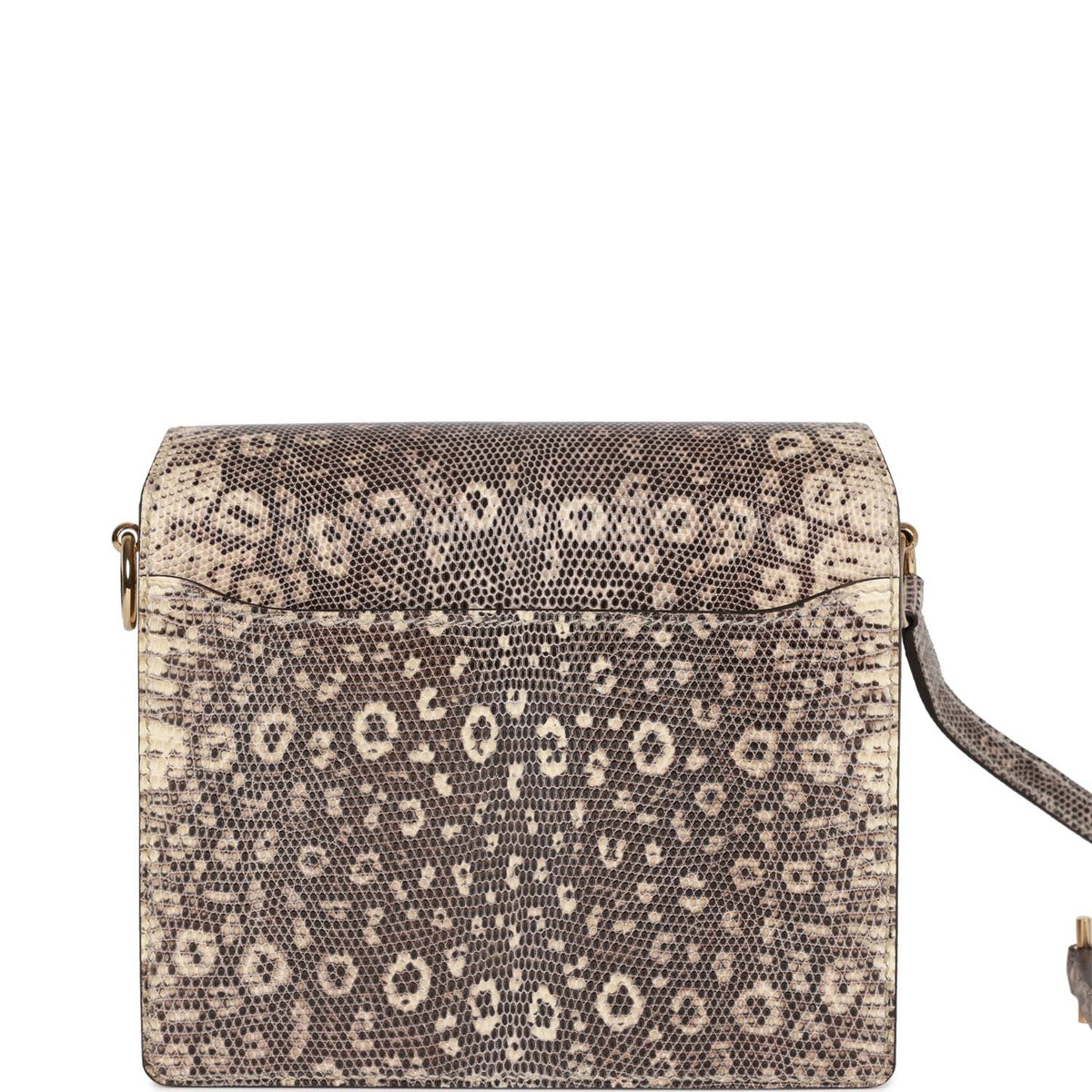 Mini Sac Roulis Ombre Lizard Varanus Salvator Gold Hardware