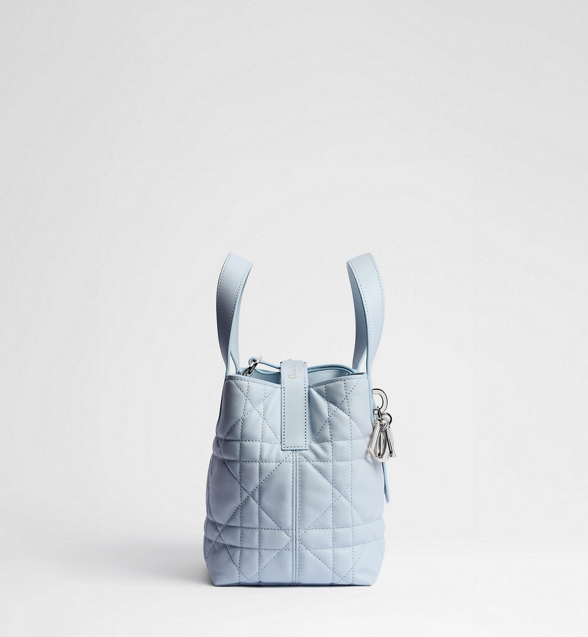 Small Dior Toujours Vertical Tote Bag 2026