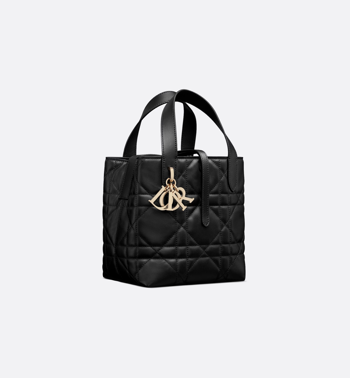 Dior Toujours Vertical Tote Bag