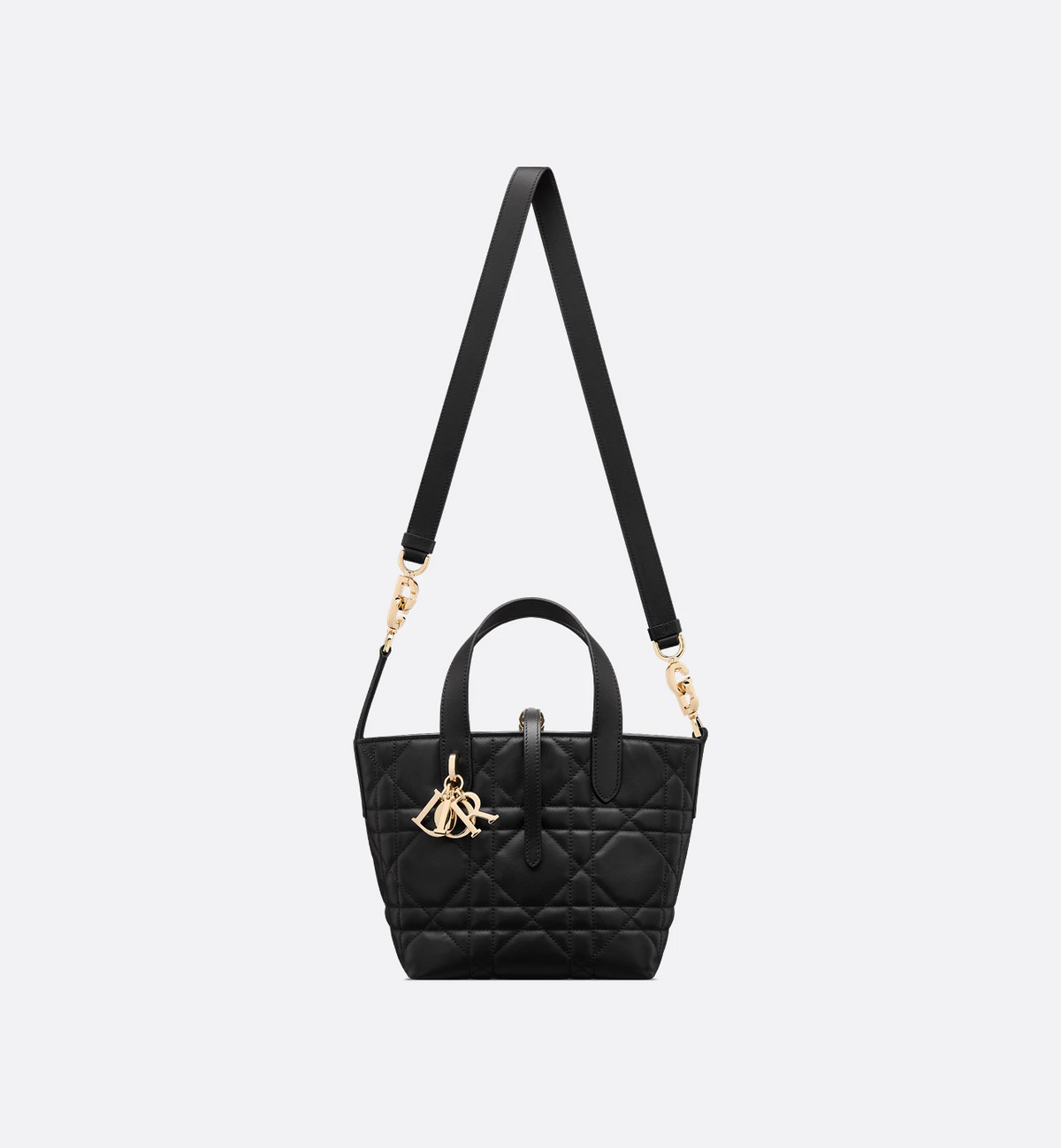 Dior Toujours Vertical Tote Bag
