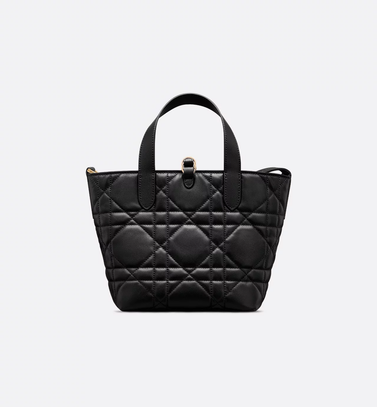 Dior Toujours Vertical Tote Bag