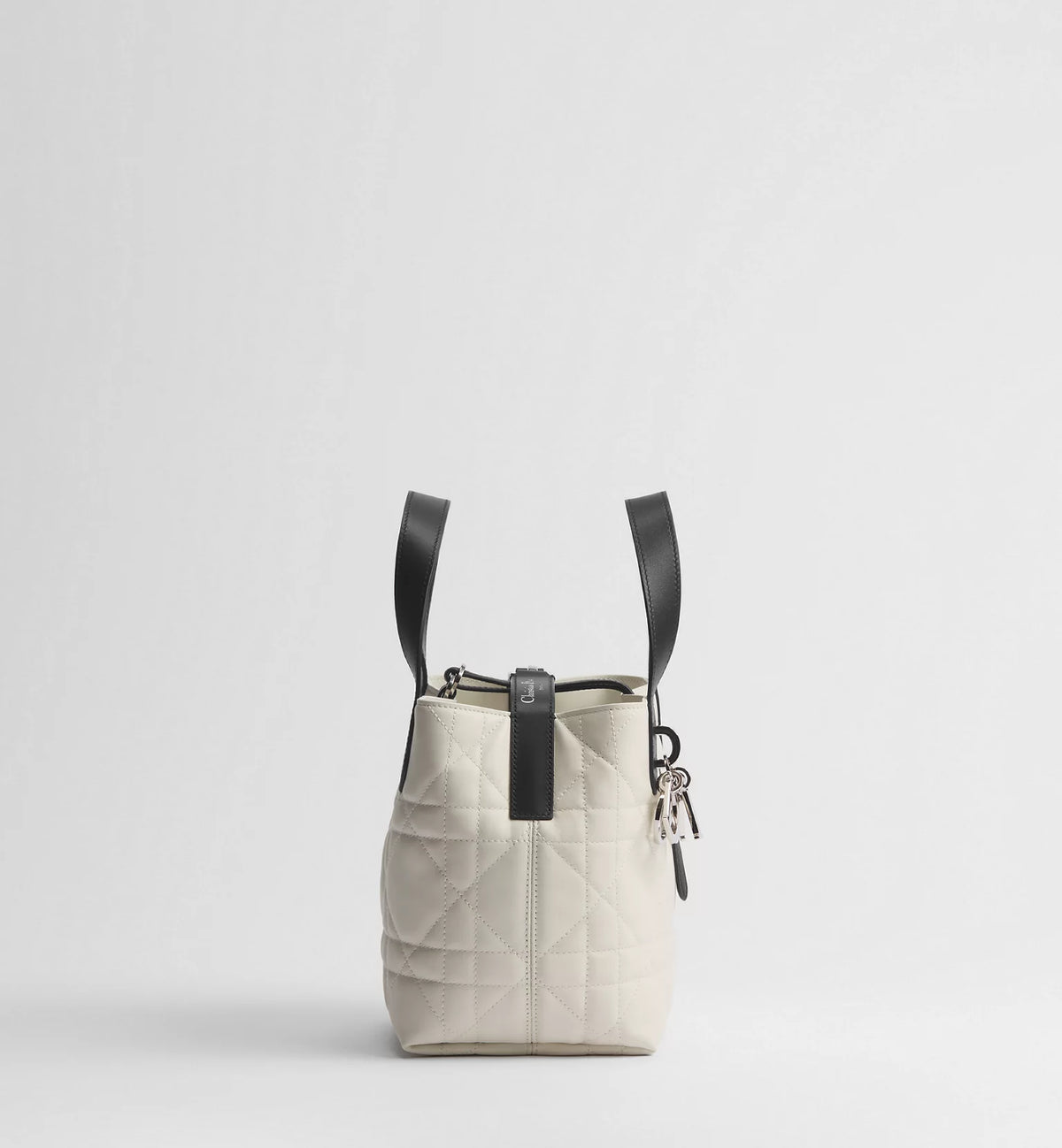Small Dior Toujours Vertical Tote Bag 2026