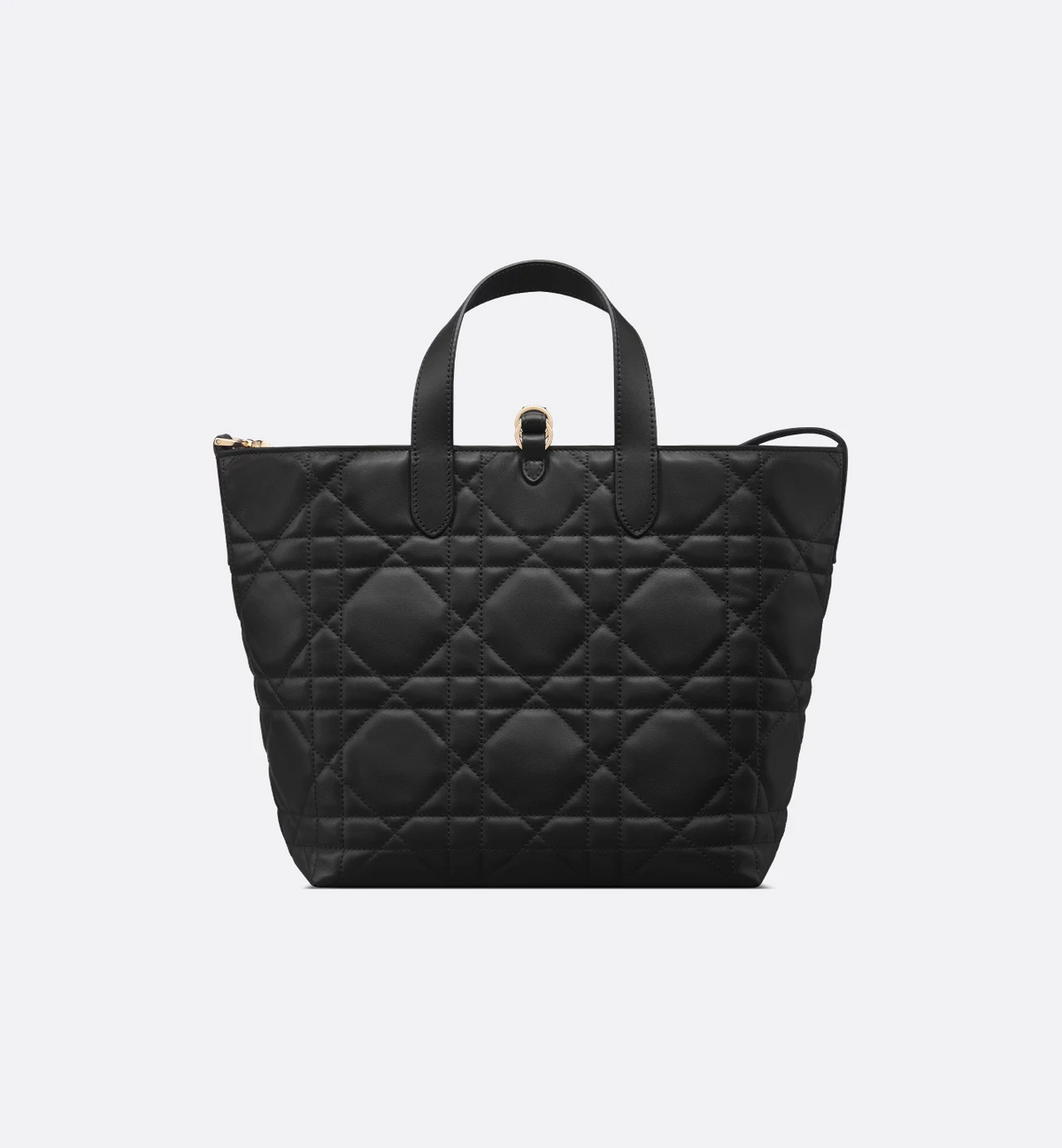 Dior Toujours Vertical Tote Bag